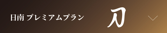 日南プレミアムプラン　刀