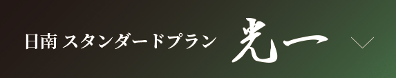 日南スタンダードプラン　光一