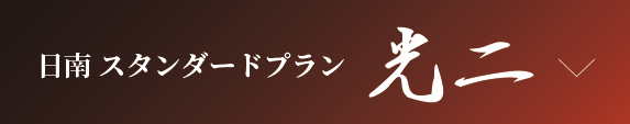 日南スタンダードプラン　光二